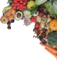 Azidosetherapie Buch-Cover